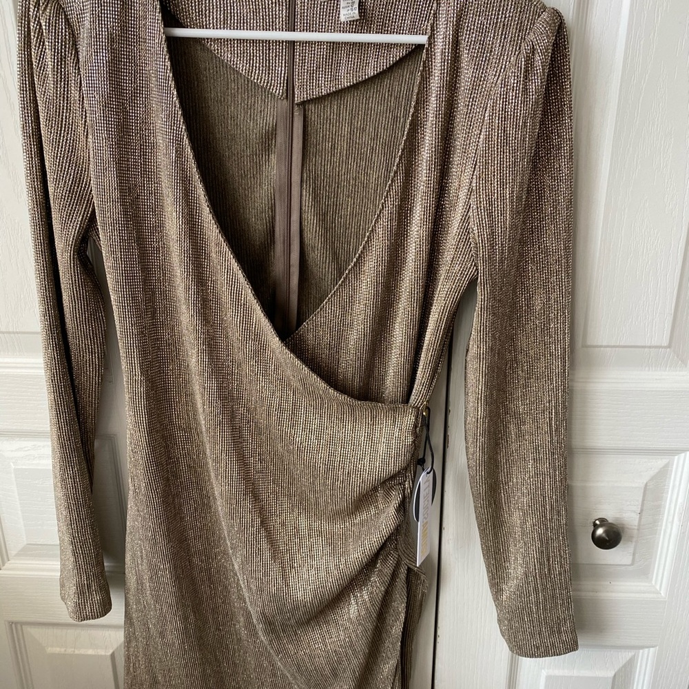 Amuse society dress